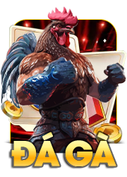 đá gà